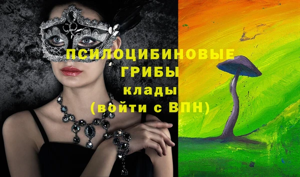 экстази Вяземский