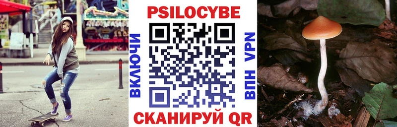 Галлюциногенные грибы Cubensis  наркота  Добрянка 